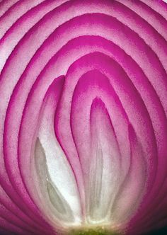 a close up view of the center of a red onion