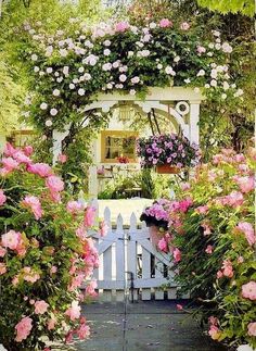 an image of a garden with pink flowers on the arbor and white picketed fence