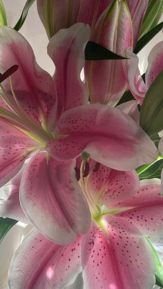 a vase filled with pink and white flowers