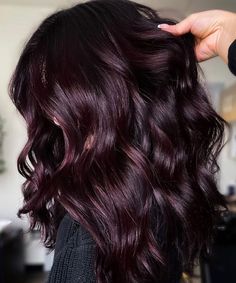 The Most Stunning Fall/Winter Hair Colour Ideas For Brunettes - Blush & Pearls Dark Hair Red Tint, Purple And Brunette Hair, Late Summer Hair Color Brunette, Brunette Purple Highlights, Fall Hair Color For Brunettes Dark, Darkest Red Hair, Fall Purple Hair, Dark Reddish Brown Hair Color, Burgundy Purple Hair