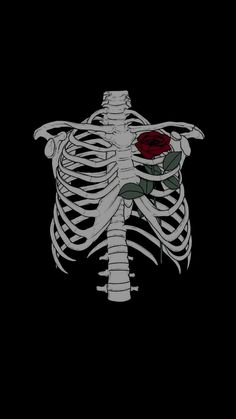 a skeleton with a rose in it's ribcage