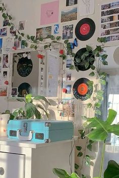 a room filled with lots of plants and pictures on the wall behind a blue suitcase