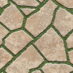 an image of a stone walkway with grass in the background