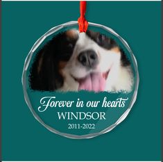 a glass ornament with a dog's face and the words forever in our hearts