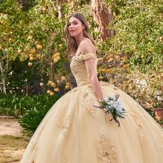 Quinceanera Dresses With Intricate Embroidery, Ball Gown With Intricate Embroidery And Fitted Bodice, Fitted Bodice Ball Gown With Intricate Embroidery, Intricate Embroidery Gown For Debutante Ball, Black Women Business Attire, Women Business Attire, Fall Festival Outfit, Gown Silhouette, Outfit Shein