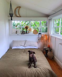 a brown dog sitting on top of a bed in a bedroom next to a window