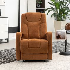 a brown recliner chair sitting on top of a rug next to a potted plant