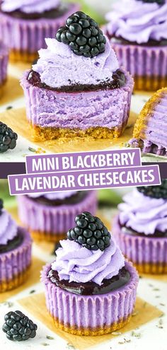 mini blackberry lavender cheesecakes with blackberries on top