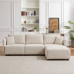 a living room with a couch, bookshelf and potted plant