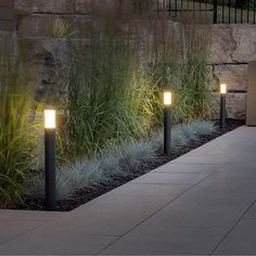 some lights that are on the side of a wall near grass and bushes in front of a building