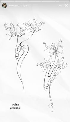 two flowers that are drawn on paper