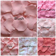 pink and white flowers with the words blush, cotton candy, canolate, bridal pink, mauve, cotton candy