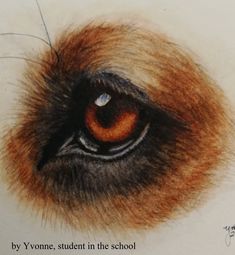 an animal's eye with the words by yome, student in the school