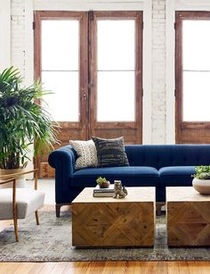 a living room with two couches, coffee table and potted plants in it