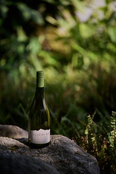 a bottle of wine sitting on top of a rock