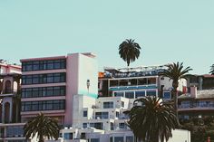 palm trees are in front of some buildings