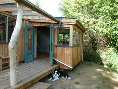 a dog laying on the ground in front of a wooden house with green doors and windows