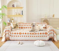 a white dog laying on top of a couch in a living room next to pillows