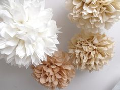 two white and brown flowers sitting on top of each other in front of a computer screen