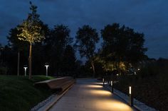 a walkway lit up at night with trees in the background