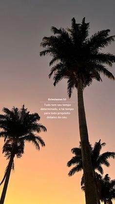 two tall palm trees standing next to each other in front of a sky with the sun setting behind them