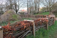 a wooden fence with vines growing on it in the middle of a grassy area next to trees