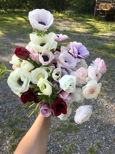 a hand holding a bouquet of flowers in it's left arm on the ground