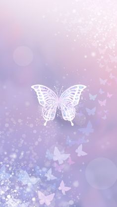 a white butterfly flying through the air on a purple and pink background with lots of bubbles