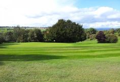 a green golf course with trees in the background