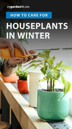 a person is holding something in their hand while sitting at a table with potted plants