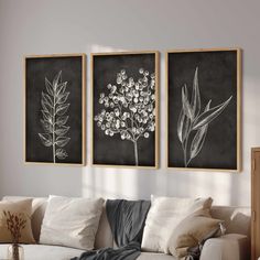 three black and white flowers are hanging on the wall next to a couch in a living room