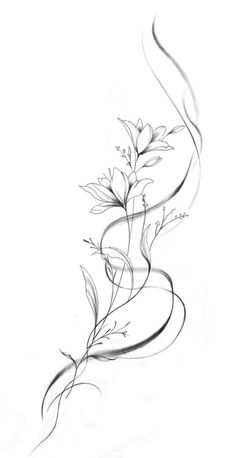 a drawing of flowers on a white background