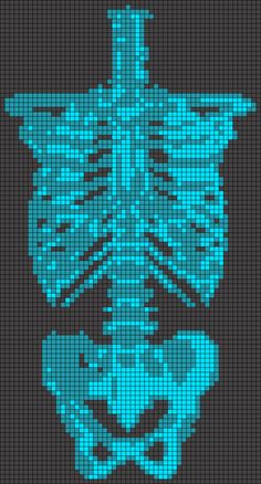 an image of a cross stitch pattern with the ribs and ribcage highlighted in blue