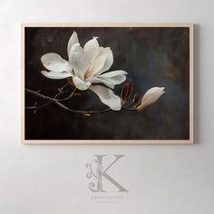 two white flowers are hanging on the wall