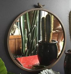 a mirror that is on the side of a wall next to a potted plant