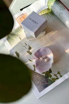 an open box on top of a table next to a plant and other items in front of it