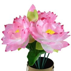 pink flowers are in a pot on a white background, with green leaves and stems