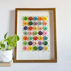 a wooden frame with flowers in it next to a potted plant on a shelf