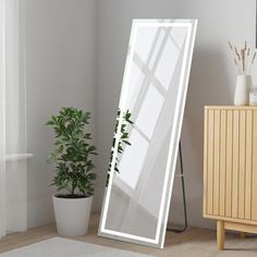 a white floor standing mirror next to a potted plant