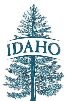 a drawing of a pine tree with the word idaho on it's bottom corner