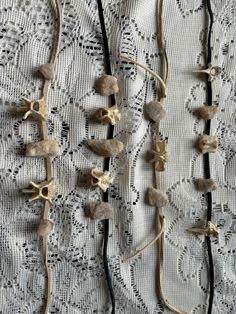 Choker necklaces made from real opossum bones found while hiking as were the quartz Syle 1: Black band, two vertebrae Style 2: Tan band, vertebrae and ribs Style 3: tan band, vertebrae only Style 4: Black band, three vertebrae  All findings are made from nickel-free iron.  Bones were found while hiking, cleaned, and degreased. Animal Bone Jewelry, Quartz Choker, Jewelry Gothic, Gothic Gifts, Bone Jewelry, Animal Bones, Choker Necklaces, Gothic Jewelry, Bones