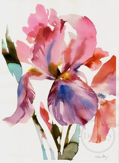 watercolor painting of pink flowers on white background