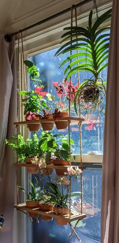 a window sill filled with potted plants next to a window