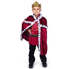 a little boy dressed in a king costume