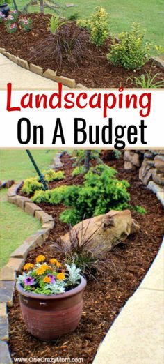 landscaping on a budget with text overlay