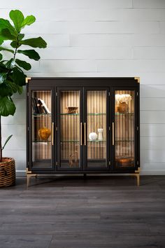 a black cabinet with glass doors and gold trim on the front is next to a potted plant