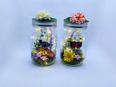 two glass jars with flowers in them on a white background, one is filled with fairy lights