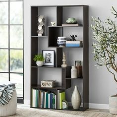 a living room with a book shelf and potted plant on the floor next to it