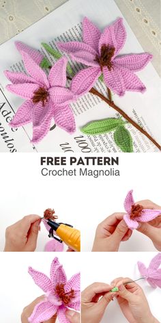 crochet flower pattern with instructions to make the petals and leaves for the flowers