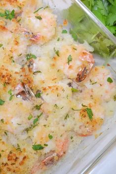 a casserole dish with shrimp, cheese and parsley garnishes